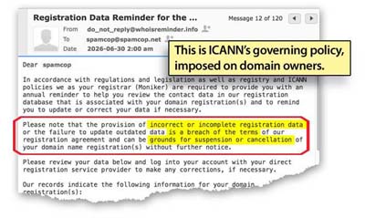 ICANN_domain_warning