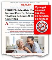 2609-27_memory_loss