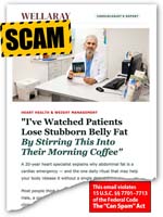 2609_10_Bellyfat